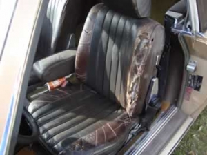 needs new upholstery